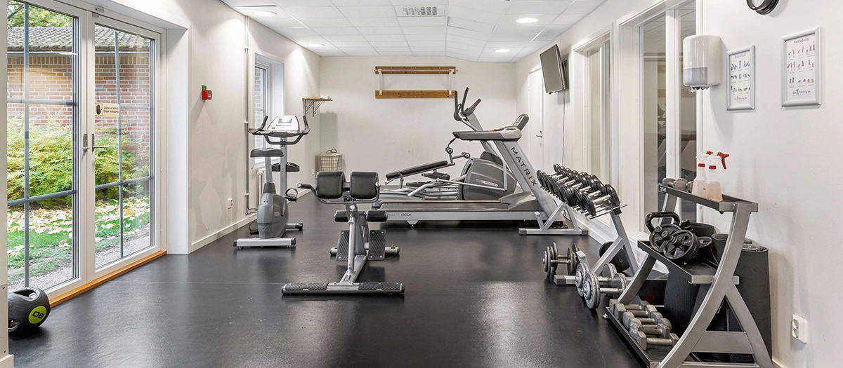 Gustaf Wasas hotellgym med fria vikter, en träningscykel, löpband och chins-stång.