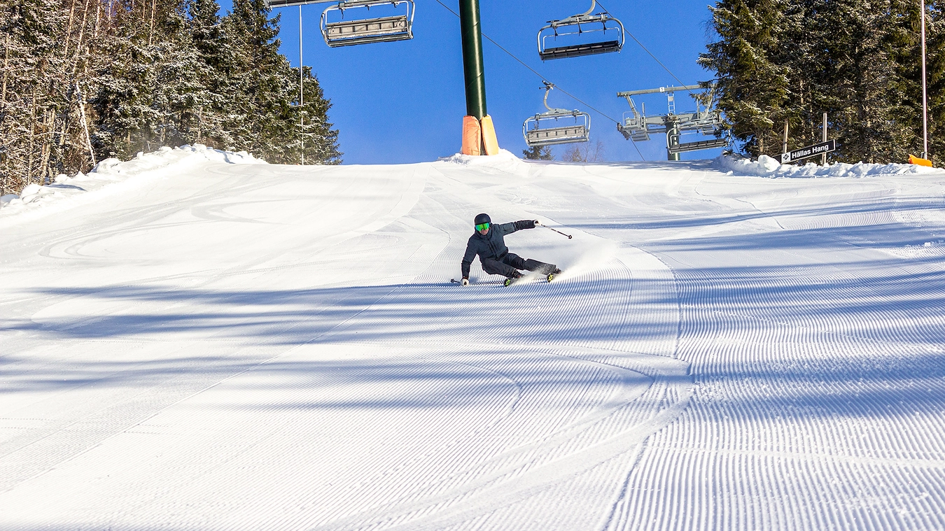 En ensam skidåkare i en backe vid Romme Alpin. En solig dag och nypistad backe med stora träd och skidlift i bakgrunden.